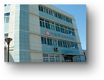 Established the Dalian Plant (Dalian City) in China