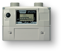 Launch of Ultrasonic Meters for LP Gas