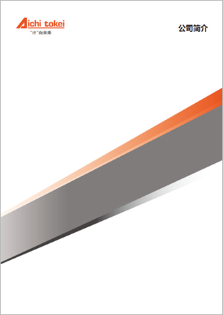 Corporate Profile Chinese